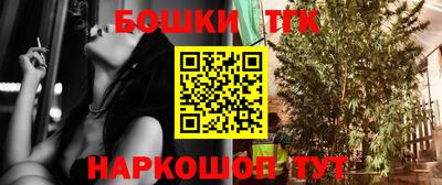 прущие грибы Малгобек