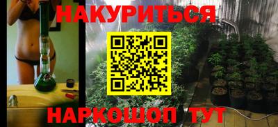 прущие грибы Малгобек