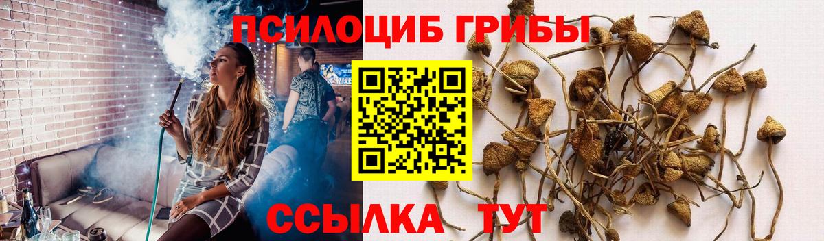 Североуральск  сколько стоит  Вход с VPN  Галлюциногенные грибы GOLDEN TEACHER 