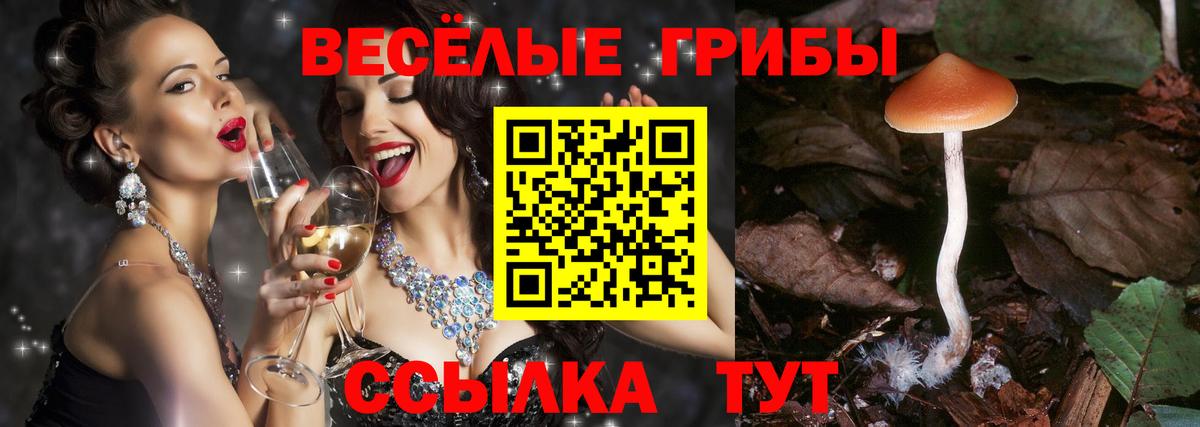 ЭКСТАЗИ Североуральск