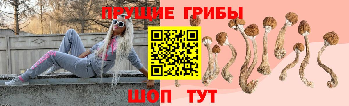 Псилоцибиновые грибы прущие грибы Североуральск